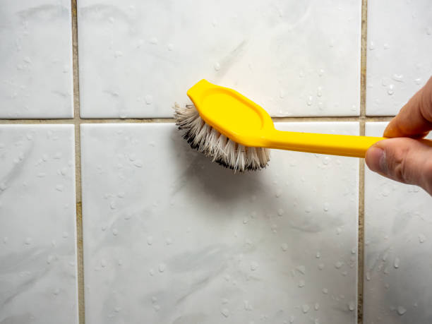 Best Mold Cleaning Services  in Butler, MO