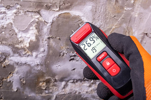 Best Commercial Mold Removal  in Butler, MO