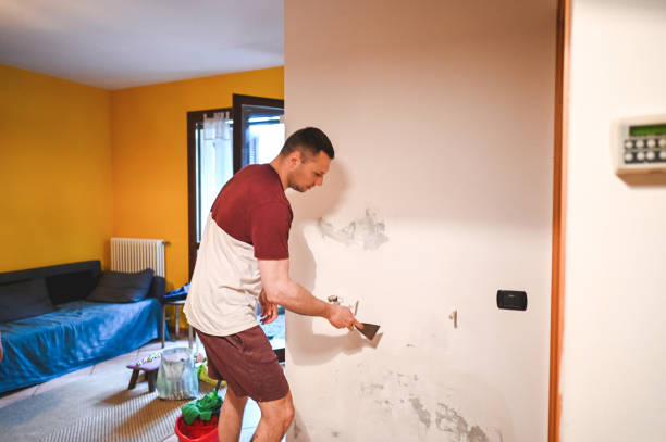 Best Residential Mold Removal  in Butler, MO